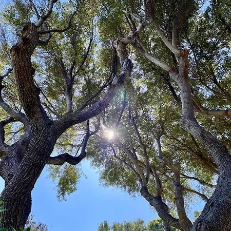Διαμέρισμα Bellavista Porto Rotondo
